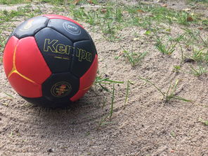 爱游戏下载-中国篮球推动青少年比赛规则标准统一促进公平竞争，篮球青少年联赛